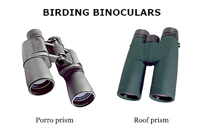 binox