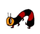 caterplr