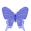 butrfly