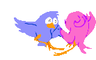 bird2