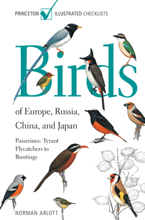 bird 2